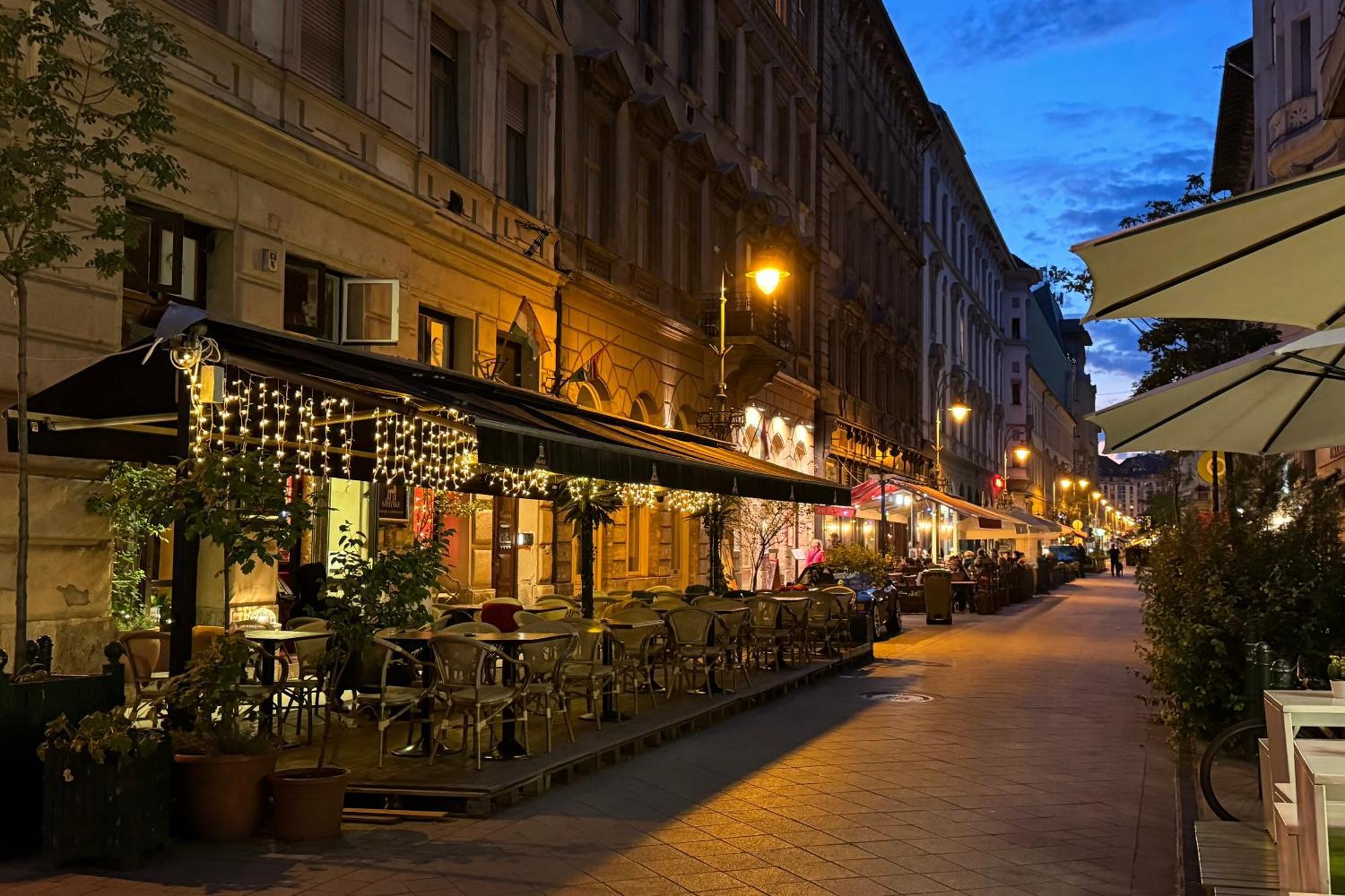 Jungle Aesthetics Downtown Apartman Aircon And Garage Parking Budapest Exterior foto